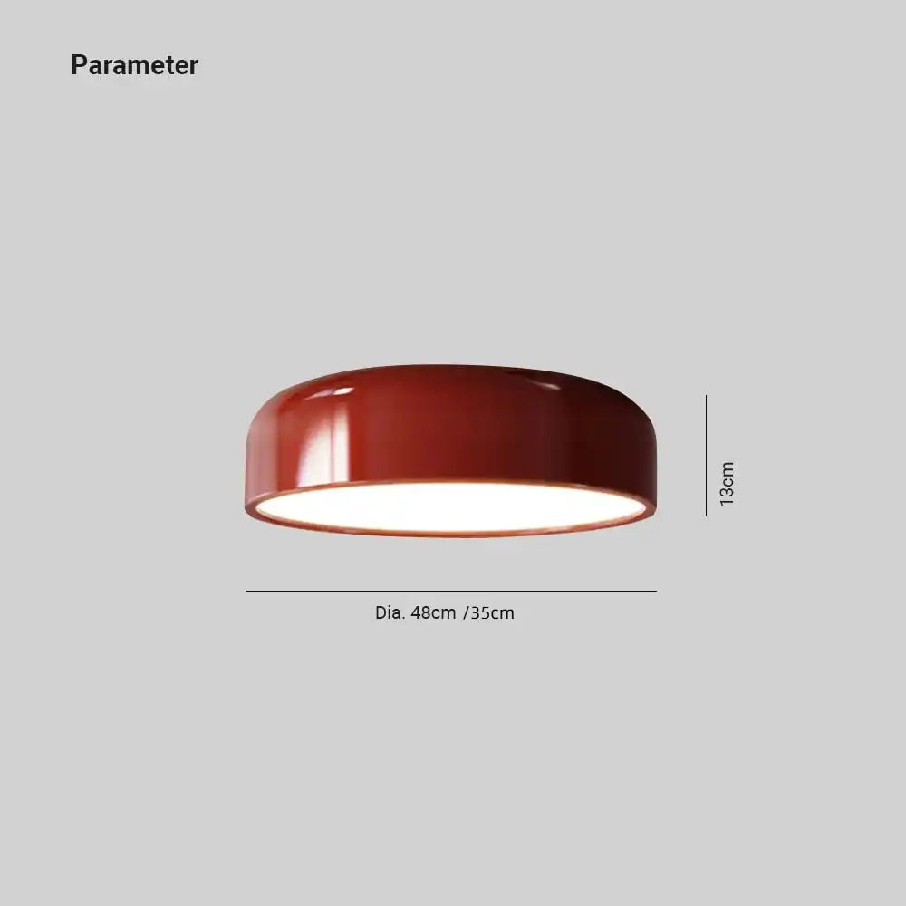 Antheos Morandi Vintage LED Ceiling Light-16.webp__PID:65a78c14-27bb-40ed-a225-3a705f71deb8